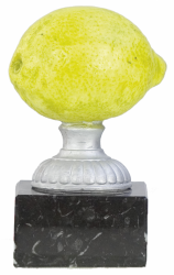 5014 Trofeo Limon